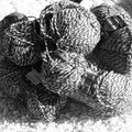 Histoire de laines ou  mes d&eacute;buts en tricot