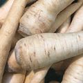 Le Panais à cuisiner dans de nombreux plats d'hiver