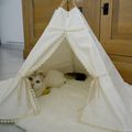 Un tipi pour Kitty