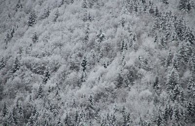 St Col #1 - Jour de neige