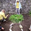 Nettoyage du jardin avant hibernation