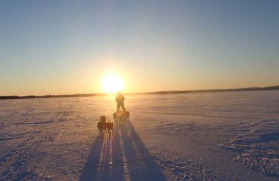 j'irais au bout du monde avec mes chiens !!