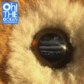 "Oh! The Ocean" de The Wombats : Une formule qui fonctionne encore !