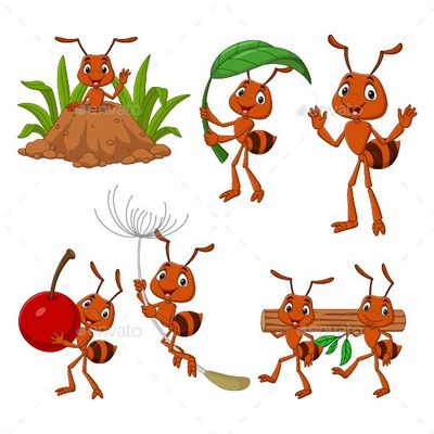 Invasion ...