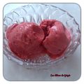 SORBET AUX FRUITS ROUGES AU THERMOMIX