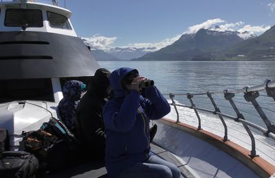 VALDEZ : LULU BELLE , Glacier et animaux marins