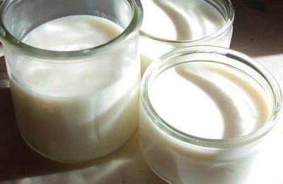 recette des yaourts maison au lait concentré sucré