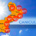 canicule