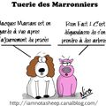 Proces de la tuerie des marroniers ( 4 avril 2006 )