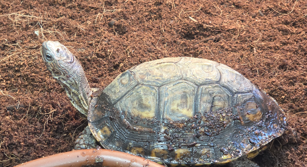 Photographies : ©2025 David de Boisvilliers