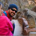 Zion National Parc