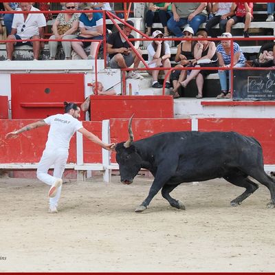 REMOULINS