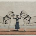 A Syce (Groom) Holding Two Carriage Horses, attributed to Shaikh Muhammad Amir of Karraya (active 1830s–40s), ca. 1845, India