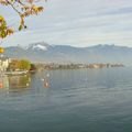 Vevey