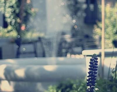 ★ Spring Summer, les évènements ★