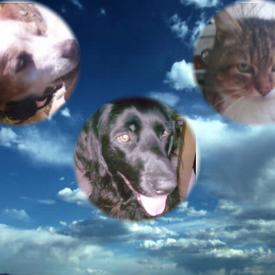 Des nouvelles bien triste