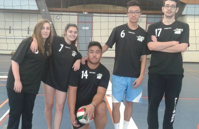 Mercredi 27 Janvier - Volley Mixte