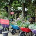 Jardins jardin aux Tuileries 