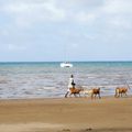 Plage de Trévani, un couple passe avec son