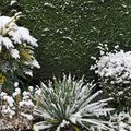 La métamorphose du jardin sous la neige...