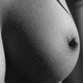 Les coqs aiment les femmes qui ont la chair de poule