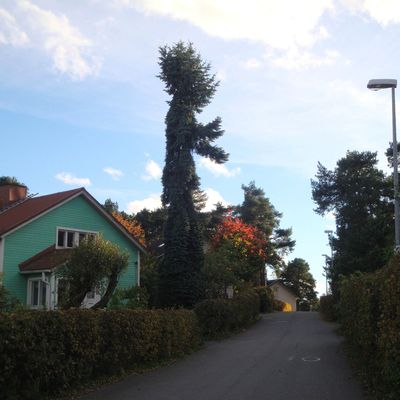 Alentours de Retrodorm