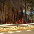 Gironde : Incendie de broussailles sur le Bassin d'Arcachon