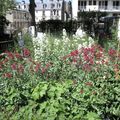 Merveilleux jardin sous le soleil