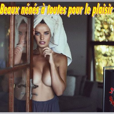 GABY LE HÉRISSON VOUS SOUHAITE UNE EXCELLENTE ANNÉE 2018