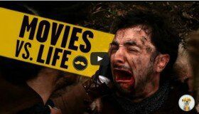 Suricate - Movies VS Life