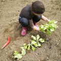 matinée au potager