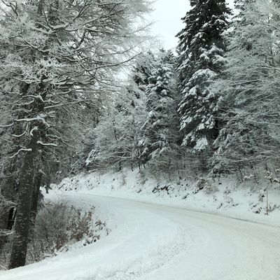 Montée vers le Plateau de Beurre ...