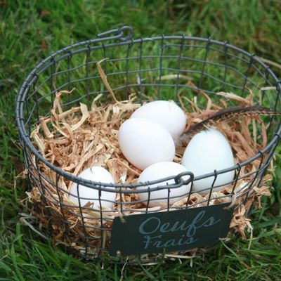 PROTECTION SIMPLE MAIS TRÈS PUISSANT 