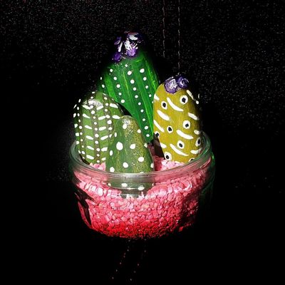 transformation de galets en cactus