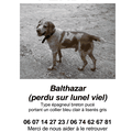 AVIS DE RECHERCHE !!! RETROUVE !!!!!!!!!!