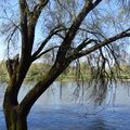 Revoir la Loire à Tours le 7 avril 2025 (2)