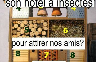 Constuire une maison à insectes