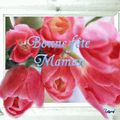 Un dimanche spécial mamans ♥♥♥