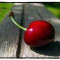 Clafoutis cerises et pistaches