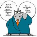 pensée du chat