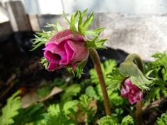 Quand je vous dit qu&rsquo;il arrive