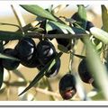 Confiture d'olives noires