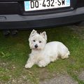 passionnement...WeSTie
