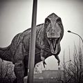 Dinosaure Polonais - Sosnowiec