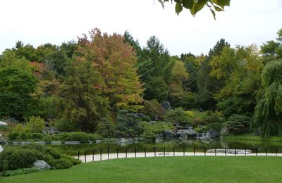 le jardin botanique