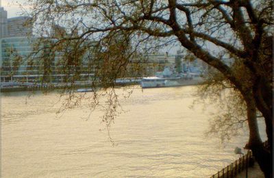 Coucher de soleil sur la Tamise (Londres)