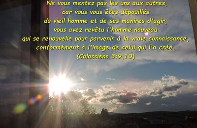 Colossiens 3:9,10 (Verset Illustré)