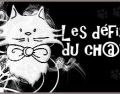 Défi du chat