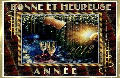 Bonne année 2012 !