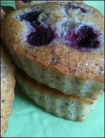 FINANCIERS DE CHRISTOPHE FELDER